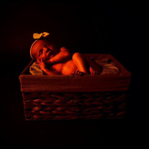 Keys to Tranquility: Rabbit's Lullaby Luxe