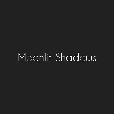 Moonlit  Shadows