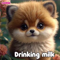 Drinking milk