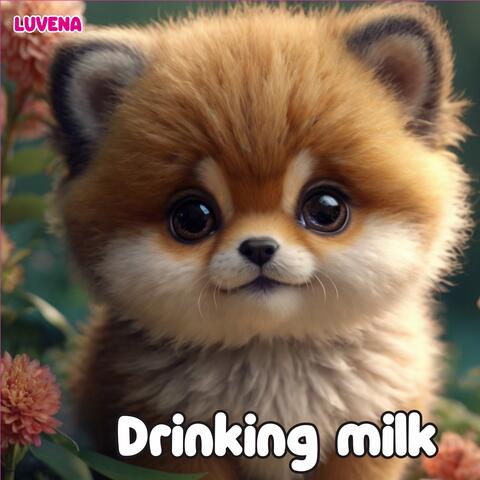 Drinking milk