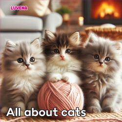 All about cats