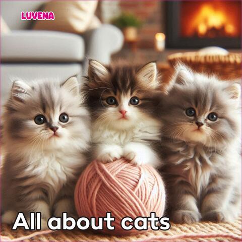 All about cats