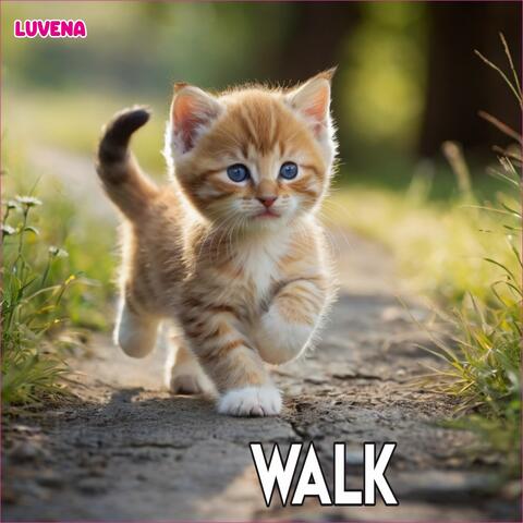 Walk