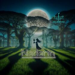 Nadarin