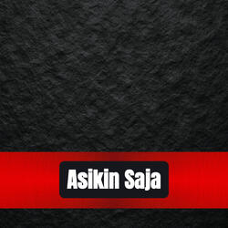 Asikin Saja