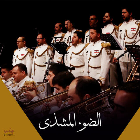 الضوء المشذى