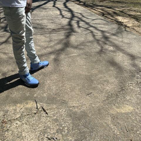 Fully World