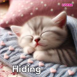 Hiding