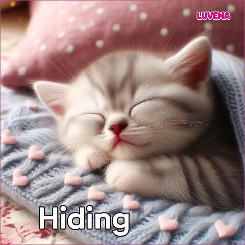 Hiding
