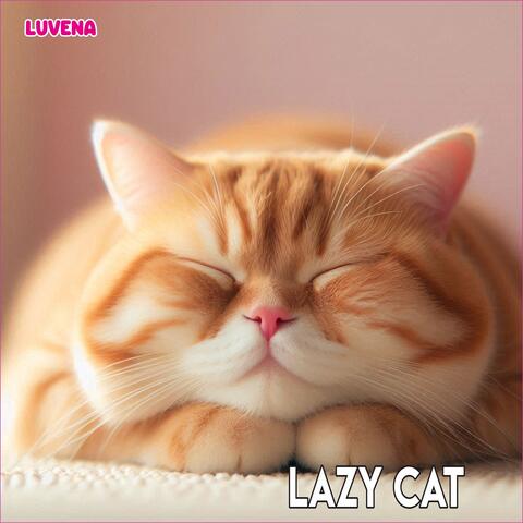 Lazy cat