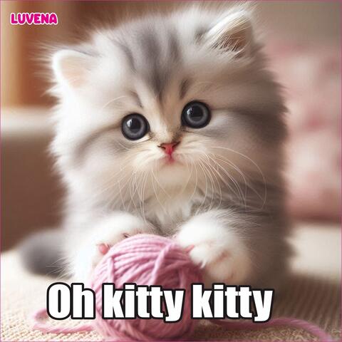 Oh kitty kitty