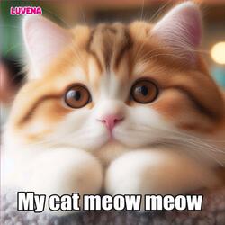 My cat meow meow