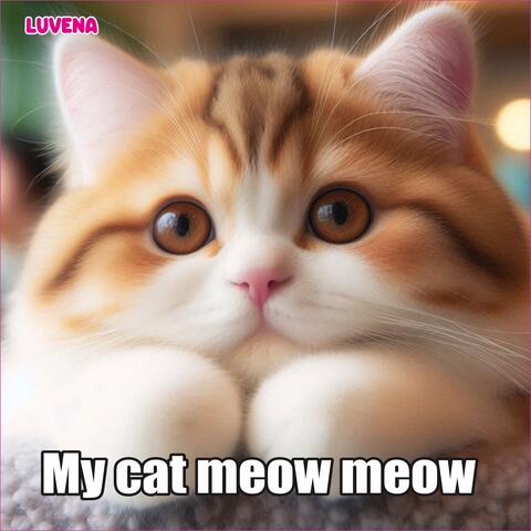 My cat meow meow