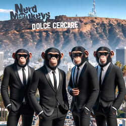 Dolce Cercare