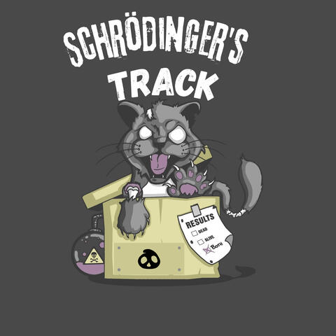 Schrödinger’s track