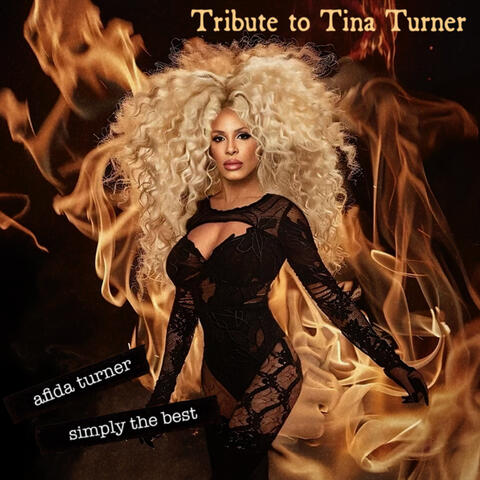 Simply the best - Tribute to Tina Turner