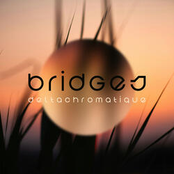 Bridges