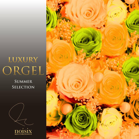 Luxury Orgel