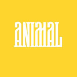 Animal