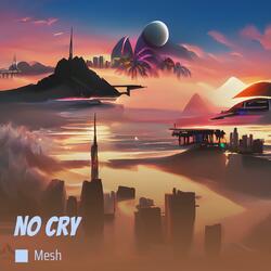 no cry