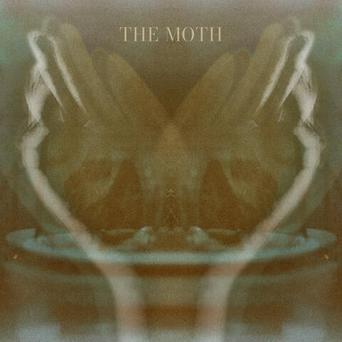 The Moth