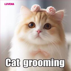 Cat Grooming