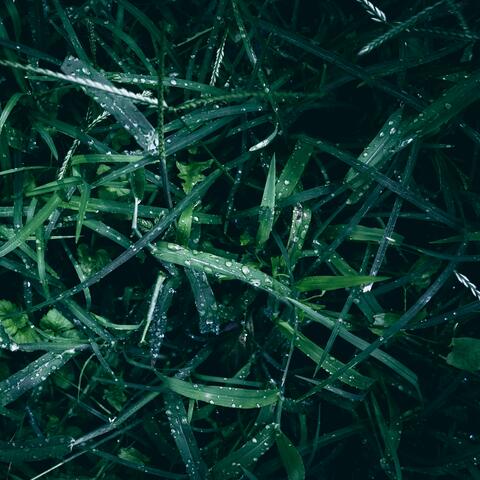 The Ball Is in One's Court