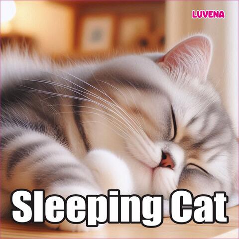 Sleeping Cat