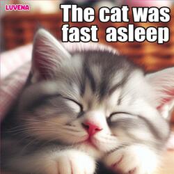 The cat was fast asleep