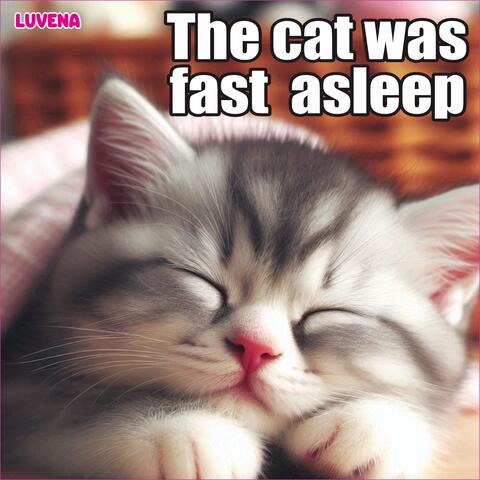 The cat was fast asleep