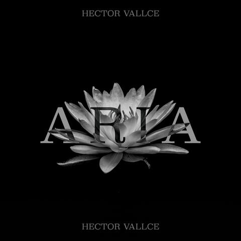 Aria