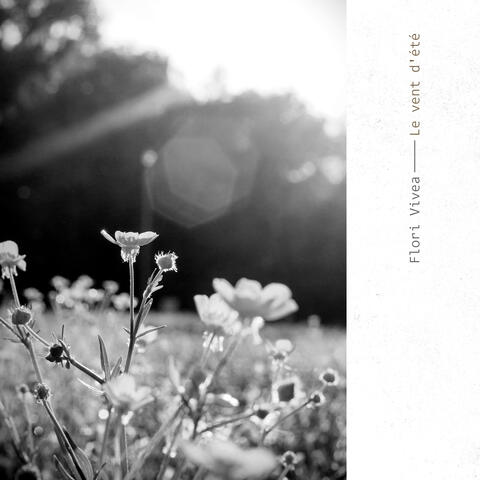 Le vent d'été