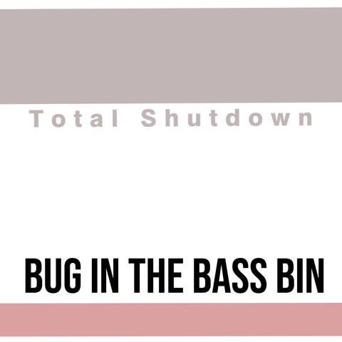 Bug In The Bass Bin