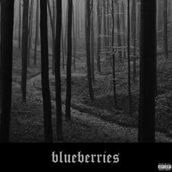 blueberries