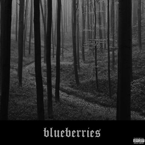blueberries
