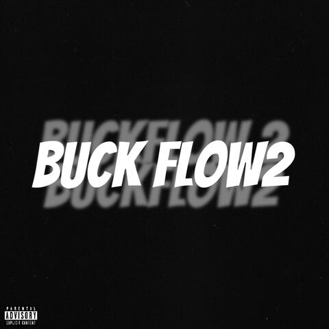 BuckFlow2