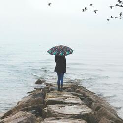 Distant Storm