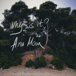 Why Is It