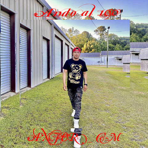 Ando Al 100