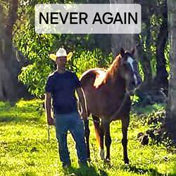 Never Again