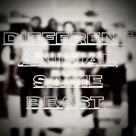 Different Animal, Same Beast.