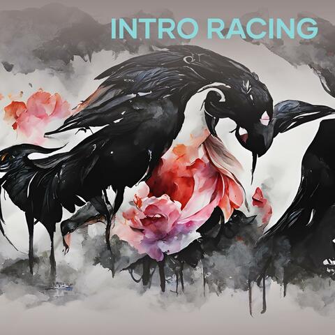 intro racing