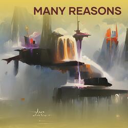 many reasons