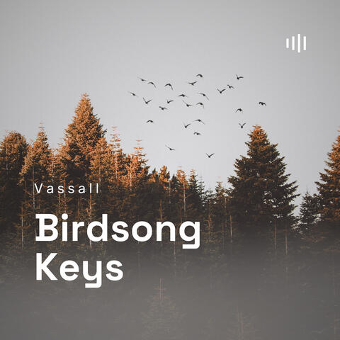 Birdsong Keys