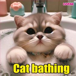 Cat bathing