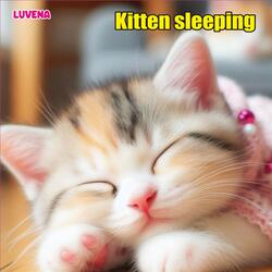 Kitten sleeping