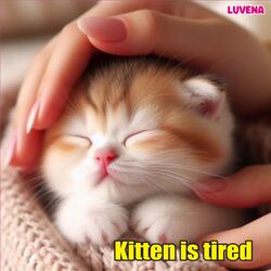 Kitten tired