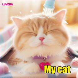 My cat