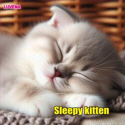 Sleepy kitten