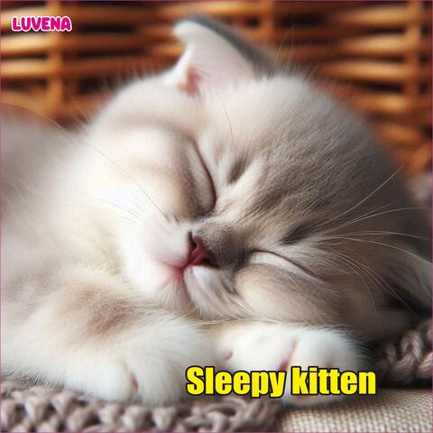 Sleepy kitten